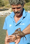   Türkischer Fischer mit Octopus auf der Hand 